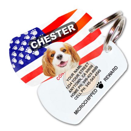american dog pet id tag