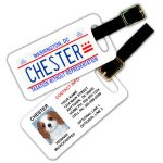 dc luggage tag 1