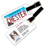 illinois luggage tag 2018