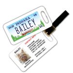 indiana bridge luggage tag