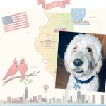 illinois license platepet id tag customer photo2