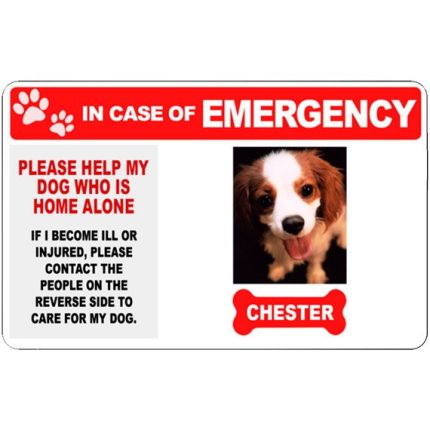 pet emergency card product image