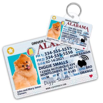 Alabama Driver License ID Tag and Wallet Card