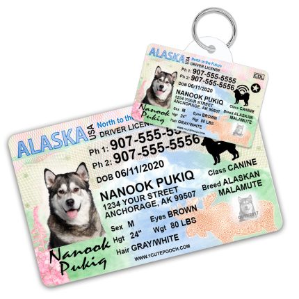 Alaska Driver License ID Tag and Wallet Card
