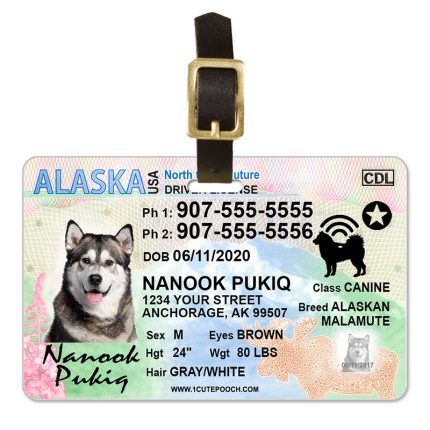 Alaska Driver License luggage tag