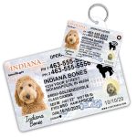 Indiana Driver License ID Tag and Wallet Card