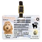 Indiana driver license luggage tag
