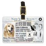 New York Driver License luggage tag
