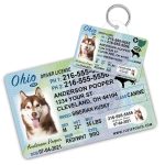 Ohio Driver License ID Tag and Wallet Card