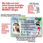 Ohio Driver License ID Tag and Wallet Card features