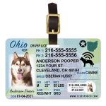 Ohio driver license luggage tag