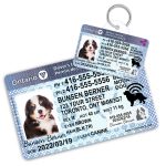 Ontario Driver License ID Tag and Wallet Card