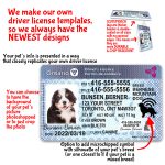 Ontario Driver License ID Tag and Wallet Card features
