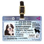 Ontario driver license luggage tag