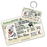 Saskatchewan Driver License ID Tag and Wallet Card