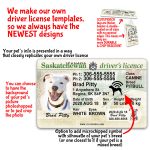 Saskatchewan Driver License ID Tag and Wallet Card features