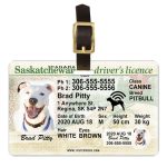 Saskatchewan driver license luggage tag
