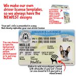 Western Australia Driver License ID Tag and Wallet Card features