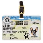 Western Australia driver license luggage tag