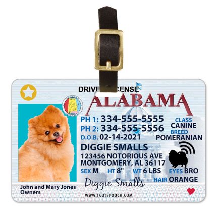 alabama driver license pet luggage tag