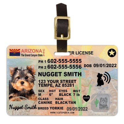 Arizona driver license luggage tag