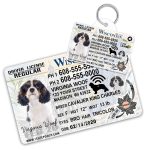 Wisconsin2 Driver License ID Tag and Wallet Card