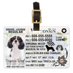 Wisconsin2 driver license luggage tag