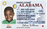 alabama kid driver license bb