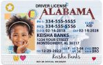 alabama kid driver license bg