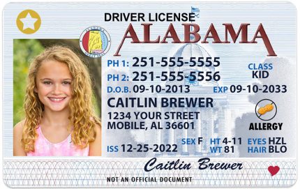 alabama kid driver license wg