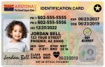 arizona kid driver license bb