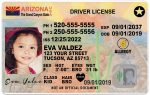 arizona kid driver license hg