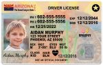 arizona kid driver license wb