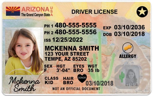 arizona kid driver license wg