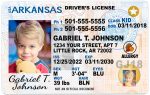 arkansas kid driver license wb