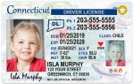 connecticut kid driver license wg