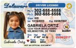 delaware kid driver license hg