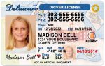 delaware kid driver license wg