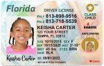 florida kid driver license bg