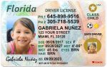 florida kid driver license hg
