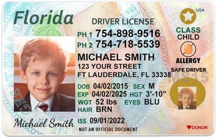 florida kid driver license wb