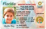 florida kid id card hb