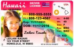 hawaii kid driver license hg