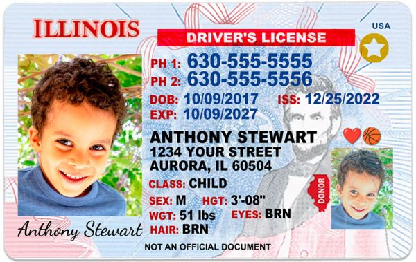 illinois kid driver license mb