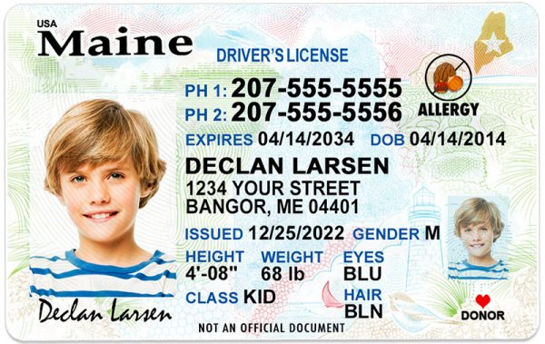 maine kid driver license wb