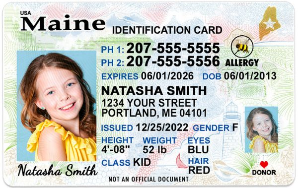maine kid driver license wg