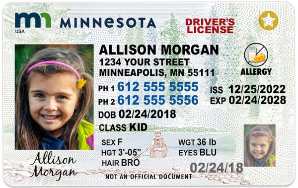 minnesota kid driver license wg