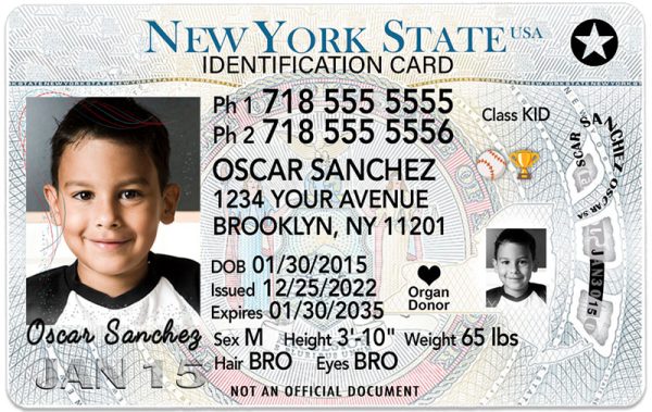 new york kid driver license HB