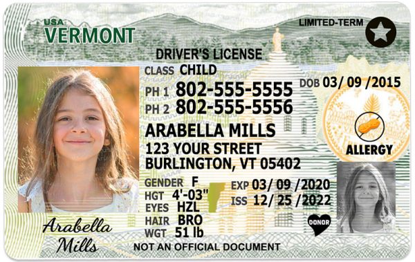vermont kid driver license wg