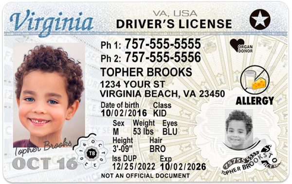 virginia kid driver license mb